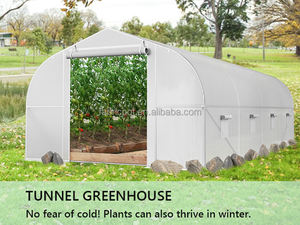 Cadre en métal de serre de haut tunnel de plain-pied facilement assemblé Chambre verte de style <span class=keywords><strong>pic</strong></span> en vert - Product Image 5