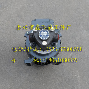 BRB-1 BAB-2 RAB-3 4 5 6 Ensemble de pompe à huile cycloïdale triangulaire Moteur YS5624 120W Occasion - Product Image 1