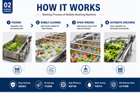Commerciële 800kg/u 4m lange luchtbel fruit- en groentewasmachine voor mango, appel en verse vruchten, continue reiniging en productie