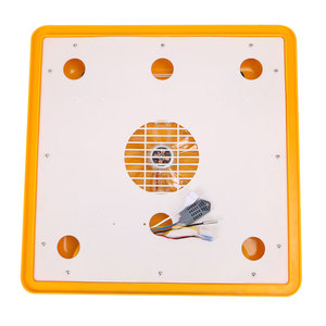 Máy Ấp Trứng Gà <span class=keywords><strong>Mini</strong></span> 6 Màn Hình Hiển Thị 110V/220V/12V Với Khay Trứng Mulit Cho Gà, Vịt, Ngỗng, Chim Cút, - Product Image 4