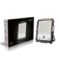 Nouveau design, projecteur 55 Lm/w 100W IP65 pour aménagement paysager, routes et parcs à thème avec CCTV