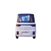 Mini voitures électriques 2 places pour adulte