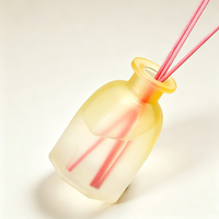 Nouvel Arrivage – Diffuseur d'Arômes Haut de Gamme Sans Flamme en Verre pour Intérieur – Bouteille de Diffusion à Bâtonnets – Rafraîchisseur d'Air Longue Durée – Parfum Durable