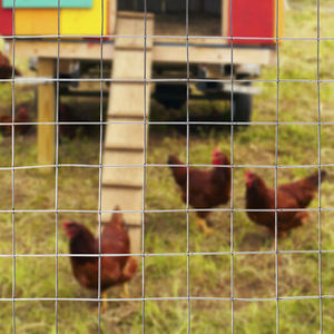 BOCN 공장 도매 1/4 1/2 5/<span class=keywords><strong>8</strong></span> <span class=keywords><strong>3</strong></span>/4 <span class=keywords><strong>3</strong></span>/<span class=keywords><strong>8</strong></span> 인치 48 ''X 50'' 하드웨어 천 아연 도금 용접 케이지 와이어 - Product Image 6