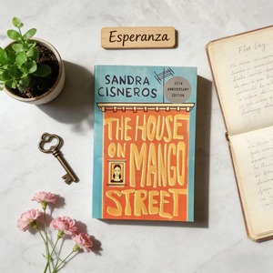 La casa de Mango Street de Sandra Cisneros. Novela literaria atemporal sobre la maduración - Product Image 4