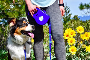 Correa retráctil multifuncional para perro, con plato y botella de agua, correa para mascotas con contenedor de bolsa de basura - Product Image 6