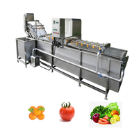 Groentesla Kool Pawpaw Apple Peer Pitaya Dragon Fruit Transportband Stijl Trilfilter Bubble Spray Wasmachine