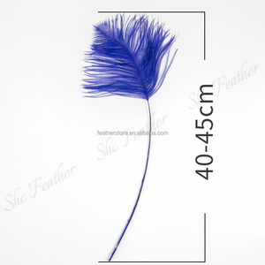 Plumes d'autruche rayées de haute qualité, 40-45 cm (16-18 po), pour décoration de costumes de carnaval, couleurs personnalisées - Product Image 4