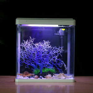 Groothandel Trendy Mini Kantoor Woonkamer Helder Glas Klein Vis <span class=keywords><strong>Aquarium</strong></span> - Product Image 6