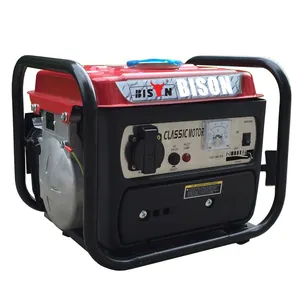 Bison Tg950 piccolo generatore 1200W 2.2Kw 3.5Kw 2800W 1500W 2.5Kw 1 e45f 5.5Hp generatore di benzina