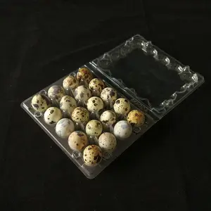 Caja de embalaje de cartón de huevos de codorniz de 15 20 agujeros de alta calidad, bandeja de plástico transparente para huevos, embalaje para pollo de codorniz