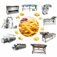 Productielijn voor het verwerken van verse aardappelchips en -vlokken voor frites met hoge winstmarge