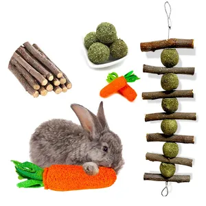 एप्पल लाठी खरगोश Suppliers-नई डिजाइन थोक छोटे पशु के लिए इंटरएक्टिव खिलौना खरगोश खिलौना चबाना गाजर आकार खिलौना हम्सटर