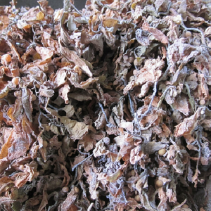 ผงสาหร่ายสาหร่ายทะเลคุณภาพสูง/ วันหยุด - Product Image 1