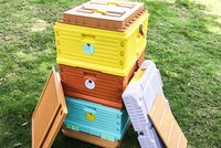 Ruches en plastique isolées thermiquement HDPE Langstroth à 3 couches et 10 cadres