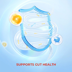 Gouttes de minéraux traces de zinc et de magnésium, complément énergétique liquide, soutient la santé intestinale et l'énergie, aide les régimes cétogènes - Product Image 2
