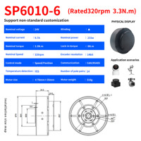 RG SP6010-6 24V tout nouveau Mini moteur à engrenages à courant continu sans balais 3.3N.M 320 tr/min léger adapté au Robot