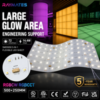 Panneau lumineux LED flexible à double couleur RGB de haute qualité Raymates pour stand d'exposition, fond de scène, plafond rétroéclairé
