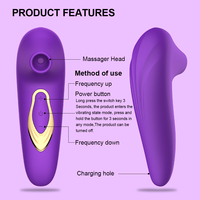 Klitoris-Sauger Vibrator Vakuum-Saugvibrator Klitoris- und Brustwarzen-Stimulator Weiblicher Masturbator Erotik-Artikel Sexspielzeug für Frauen