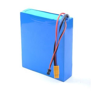 Paquete de Baterías de Litio de 48V 18650 para Equipos Médicos Electrónicos - Product Image 2