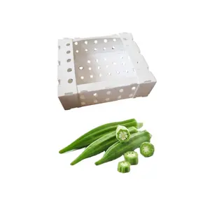 화이트 도매 Coroplast 골판지 플라스틱 접이식 오크라 포장 상자 녹색 야채 배달 상자