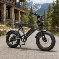 Vélo électrique à pneus larges de 20 pouces 48 V 250 W pour la vente en gros