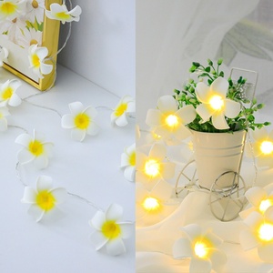 Luces LED de Girasol <span class=keywords><strong>RYM</strong></span>, Blanco Cálido, 80 CRI, Material de PVC, IP65, Impermeables, Decoración Navideña para Interiores y Exteriores, Funciona con Batería, 10-40 Piezas - Product Image 3