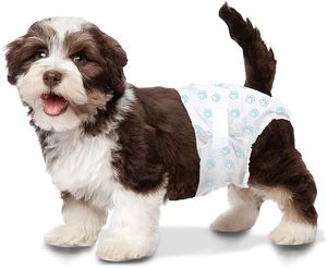 Coussinets absorbants économiques pour animaux de compagnie, taille XS, pour animaux femelles, pour l'incontinence - Product Image 6