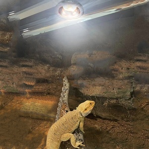 Professional Aluminum <strong>Terrarium</strong> UV Bulb UVA UVB 10.0S 20.0S Snake Gecko Lizard Full Spectrum <strong>Reptile</strong> Heating Lamp - Product Image 6