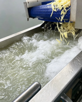 Machine Commerciale de Nettoyage et de Lavage de Fruits et Légumes, Pommes de Terre, Gingembre, Carottes, Oignons, Fruits de Mer, avec Brosse à Rouleaux et Pompe, en SUS304