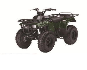 Casco di Sicurezza En <span class=keywords><strong>Iyi</strong></span> 4000w 60v per Adulti, ATV Elettrico 4x4, UTV Utilitario Agricolo con Pneumatici 20*10 10 - Product Image 3