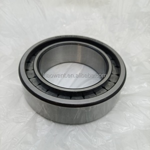 RSL loạt đầy đủ bổ sung hình trụ mang Con lăn rsl185012 - Product Image 6