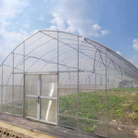 Bon marché, grand tunnel haut, hangar en plastique pour tomates, culture hydroponique verticale, petite serre PE à travée unique