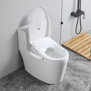 Factory Supply Self-cleaning Automatic Smart Toilet Seat <strong>Bidet</strong> Wc Toilet Seat Cover Toilet <strong>Bidet</strong> Seat - Product Image 5