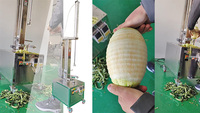 Fruit Schilmachine Mango Pompoen Watermeloen Ananas Taro Papaya Grapefruit Wax Gourd Schilmachine Ananas Schilmachine