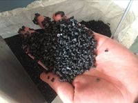 Machine de granulation de film de Polyester de recyclage de plastique avec extrudeuse 200-250 KG/H