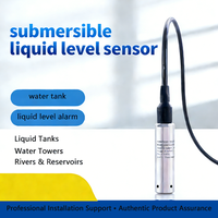 Atech PL 301 Stainless Steel Submersible Level Transmitter with 0.05% Accuracy and Current/Voltage Output
