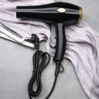 Sèche-cheveux ionique professionnel pour salon et usage domestique, moteur AC 2000W, protection contre la surchauffe, bouton de refroidissement, 2 vitesses