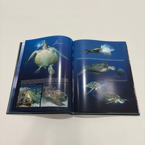 Impresión de <span class=keywords><strong>Libros</strong></span> de Tapa Dura a Medida al por Mayor, Impresión de <span class=keywords><strong>Libros</strong></span> de Fotos a Todo Color y Servicio de Impresión de Catálogos - Product Image 2