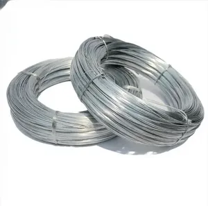 Coated Galvanizad Binding Wire/ Hot Dipped Galvanized Cutting Galvanized Steel Wire Cable