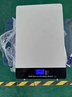 Batterie au lithium LiFePO4 murale 48V 200Ah 300Ah pour système de stockage d'énergie domestique, sauvegarde solaire avec BMS WiFi-RS485-CAN