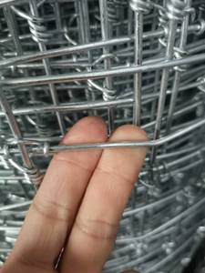 Malla de alambre de hierro galvanizado en caliente de alta resistencia de 3 a 8 pies para cercas de ciervos y ganado, con nudo fijo, para praderas. - Product Image 2