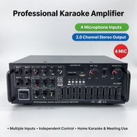 Amplifier Home Theater 300w 4 Input Mic Karaoke Stereo 2.0 Channel Mixer Daya Mobil Amplifier Audio Profesional