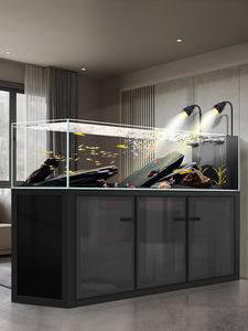 2026 חדש סִגְנוֹן סטרים צילינדר מסנן תחתון צדדי גלישה אקווריום אקווריום סלון זכוכית אולטרה לבנה אקו נוף גדול - Product Image 6