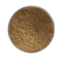 20% Charantin Factory Supply Poudre d'extrait de melon amer naturel Offre Spéciale dans un emballage à tambour