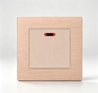 Interrupteur mural simple en aluminium doré avec indicateur néon 250V AC pour décoration intérieure