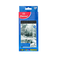 Lot de 12 crayons hexagonaux HB noirs standard, crayons graphite 2B 4B pour l'école, l'art et le dessin, fournitures de papeterie