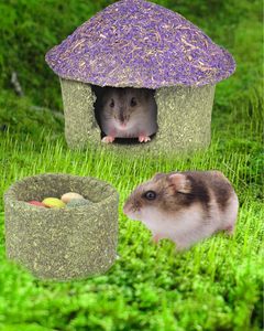 Tazón para masticar hámster y escondite Timothy Hay golosinas comestibles para hámster pequeño Ratones Rata Mascotas pequeñas Seta de hámster - Product Image 4