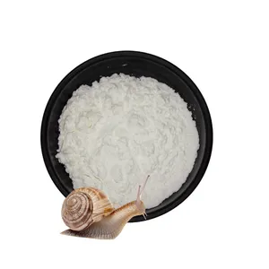 Poudre d'extrait de sécrétion d'escargot de haute qualité extrait de bave d'escargot poudre blanche cosmétique TLC extrait d'animal coquille hydratante 1 Kg