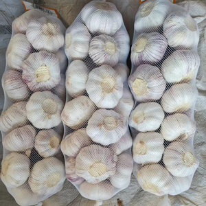 Ajo Jin <span class=keywords><strong>Xiang</strong></span> Rojo y Blanco Puro de 5.5cm y 6.0cm, Última Cosecha, Exportación a Granel, Proveedor de Ajo Fresco - Product Image 1